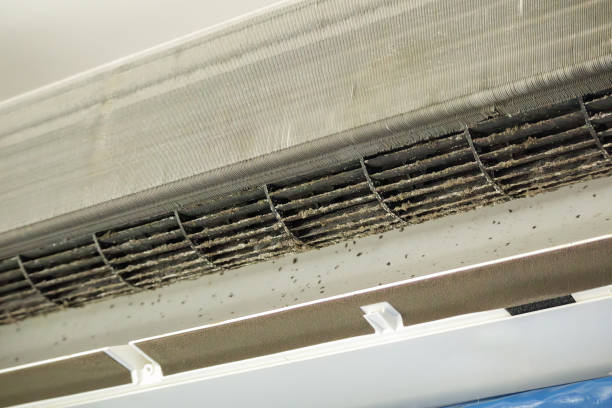 Best Air Duct Cleaning Near Me  in East Brewton, AL