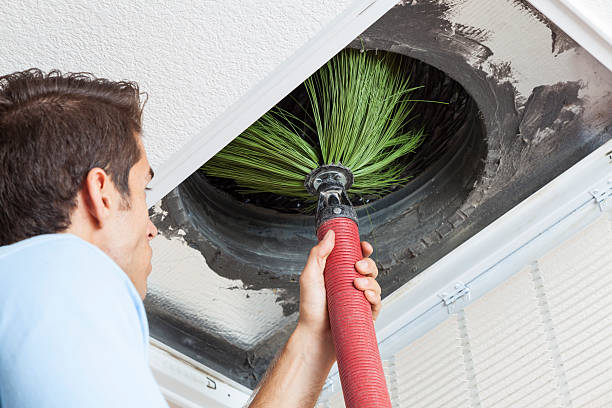 Best Home Air Vent Cleaning  in East Brewton, AL